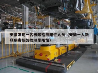 安徽发现一名核酸检测阳性人员（安徽一人新冠病毒核酸检测呈阳性）