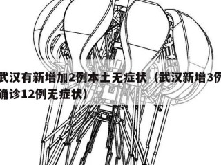 武汉有新增加2例本土无症状（武汉新增3例确诊12例无症状）