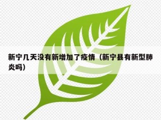 新宁几天没有新增加了疫情（新宁县有新型肺炎吗）